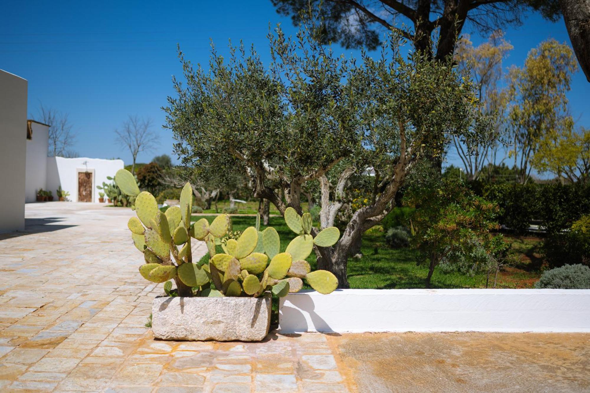 Masseria San Michele Martina Franca Eksteriør bilde